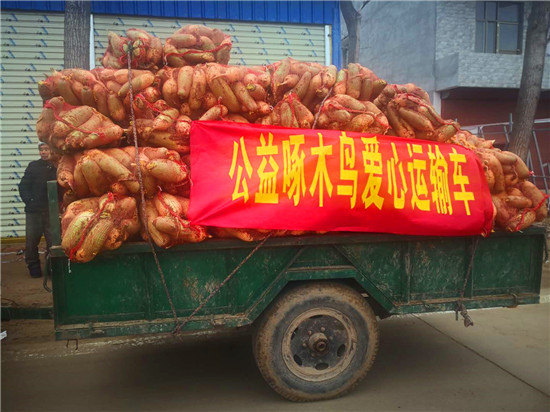 ＂愛心蘿卜＂來了！