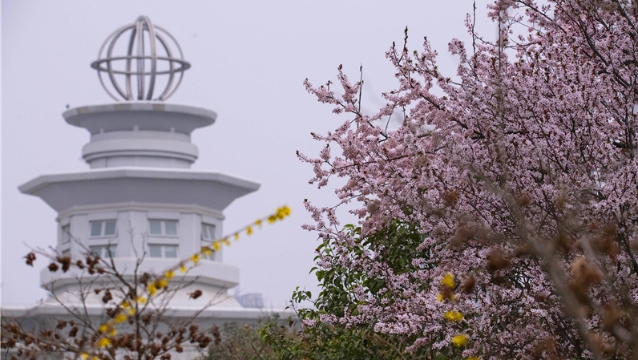 陽(yáng)春三月，踏青賞花正當(dāng)時(shí)