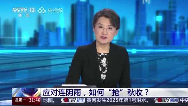 【主流媒體看周口】面對(duì)連陰雨 如何“搶”秋收？